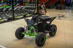 MOTAX ATV Pentora 110 cc черно-зеленый