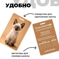 Карта Москвёнок CATS №7 (проход + питание)