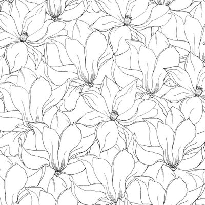 Черно-белые цветы магнолии