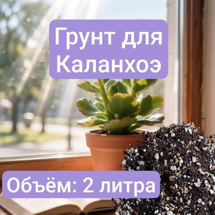 Авторский грунт для Каланхоэ 2 литра