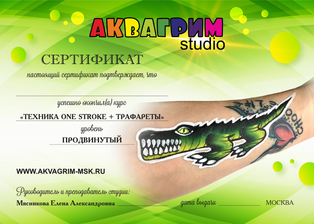 Курс по аквагриму Базовый "PRO" индивидуальный
