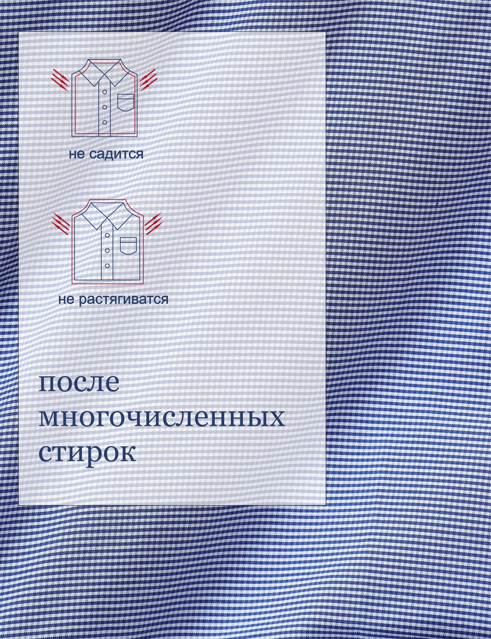 Сорочка мужская ELITA длинный рукав, цвет синий, хлопок/пэ, 59011 11