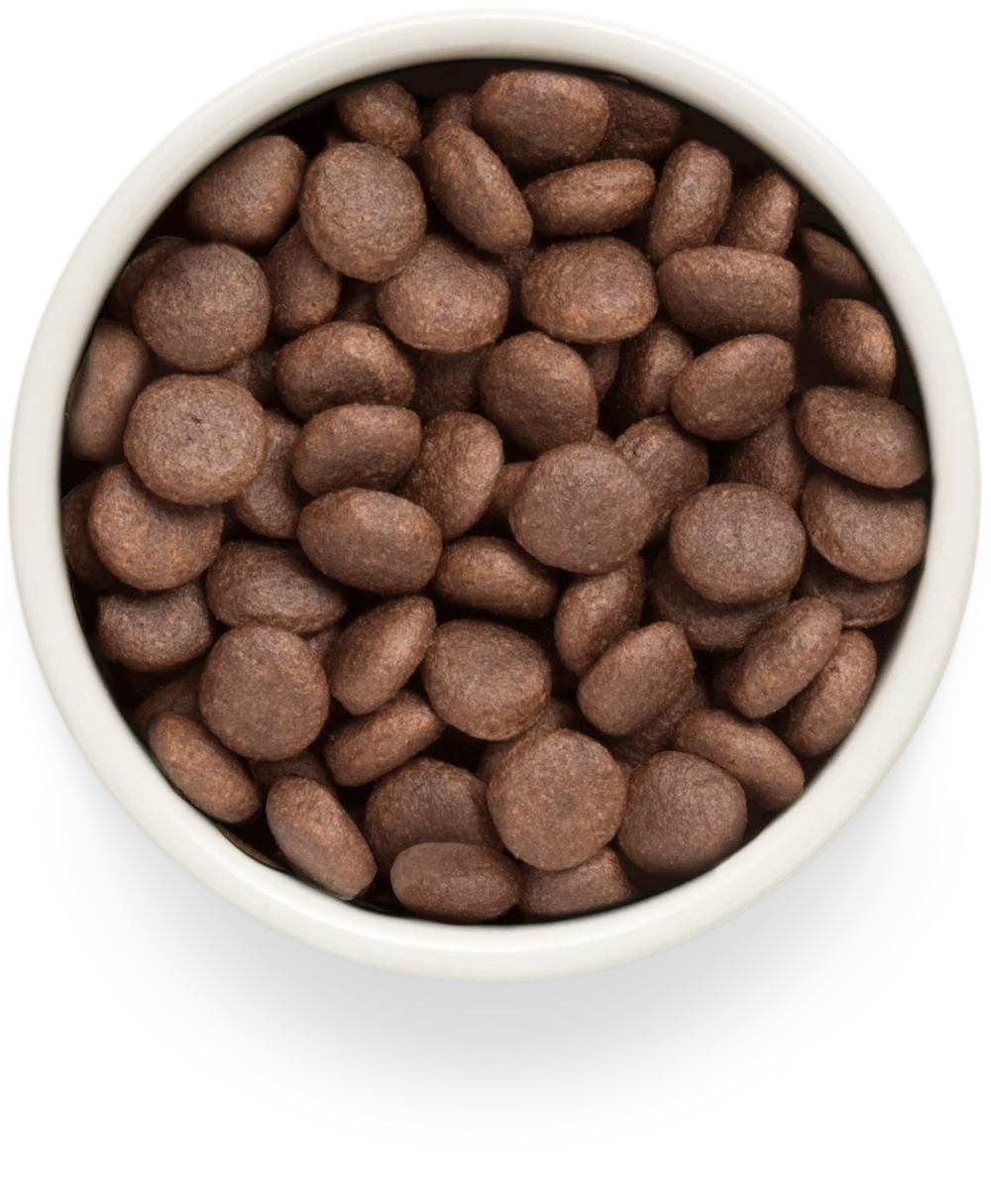 GRANDORF FRESH Свежее мясо ягненка с бататом для собак крупных пород