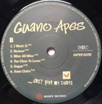Guano Apes / Don't Give Me Names (LP)