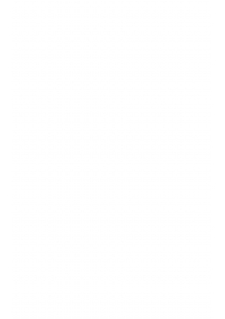 Судебная гинекология. Руководство для врачей и юристов | Лейбович Я.