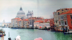 Микровелюр Xpoint (Икспоинт) 0027.01 Голуби