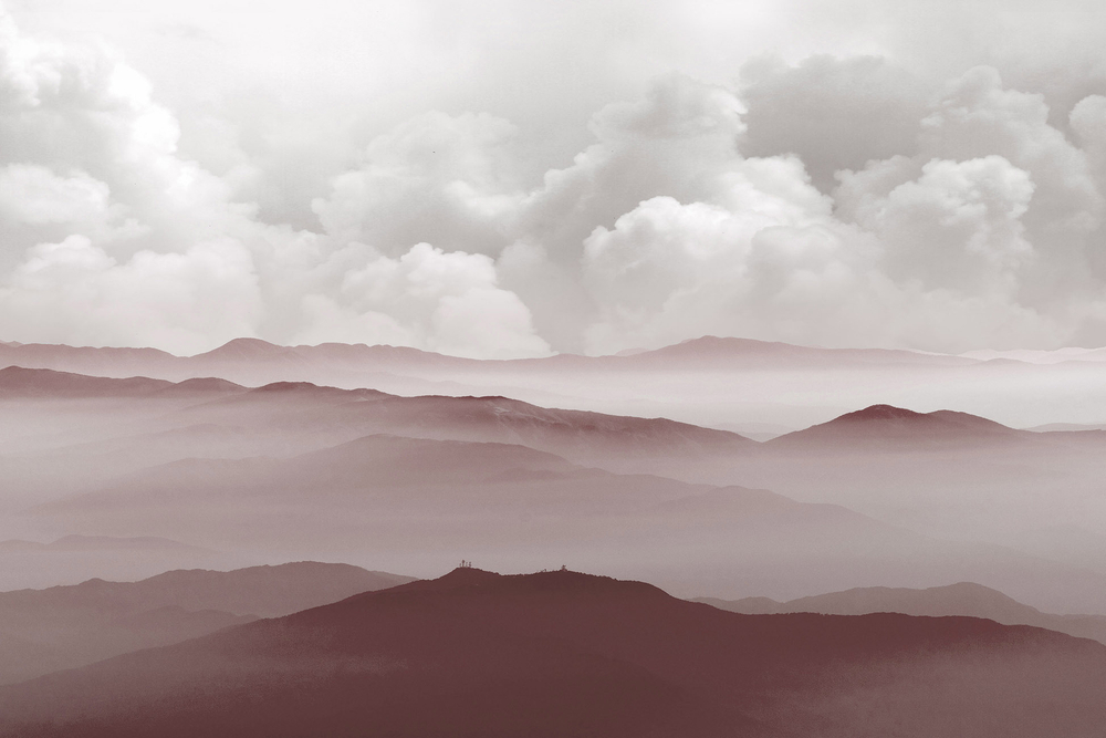 Дизайнерские обои Wall Street Euphoria