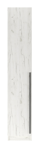 Шкаф торцевой 1С/2400 ЭЛЬТОН