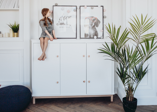 Шкаф Classic низкий (белый)