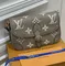 Сумка Louis Vuitton Diane серый
