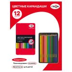 Карандаши цветные квадратные 12цв. Гамма, метал. пенал