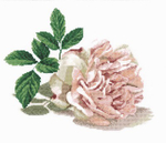 25х25¶см¶Аида 14¶Белая¶Хлопок - 100%