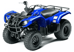 Квадроцикл GRIZZLY 125сс детский