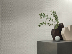 3D Wall Plaster
