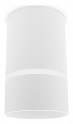 Накладной светильник Ambrella Light TN TN3411