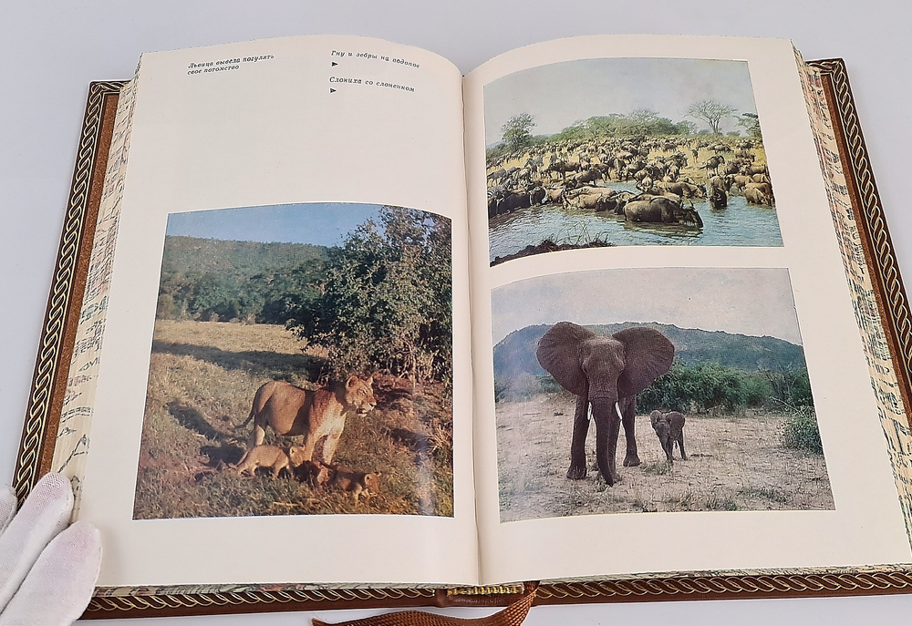 "Серенгети не должен умереть. В поисках фресок Тассилии". Бернгард и Михаэль Гржимек, Анри Лот - подарочное издание