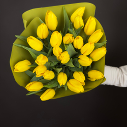 Bouquet of 25 yellow tulips