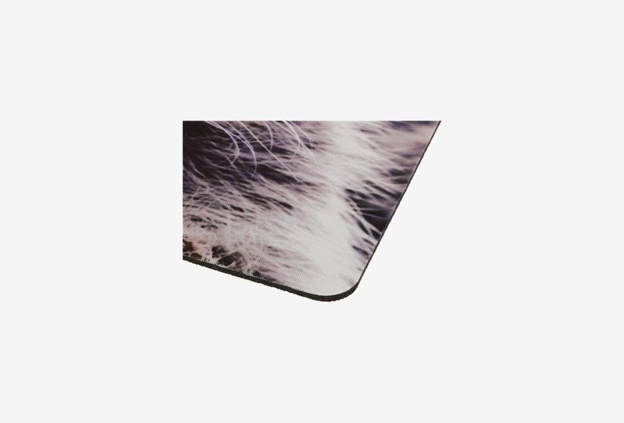 DEXP OM-XS Racoon_0326527101631