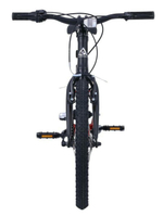 Детский велосипед Alpinebike Pegas 20 3 ск. (2025)