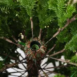 Елка с гирляндой встроенной 2в1 «Meribel» (Литая хвоя) 270 см / 2,7 м