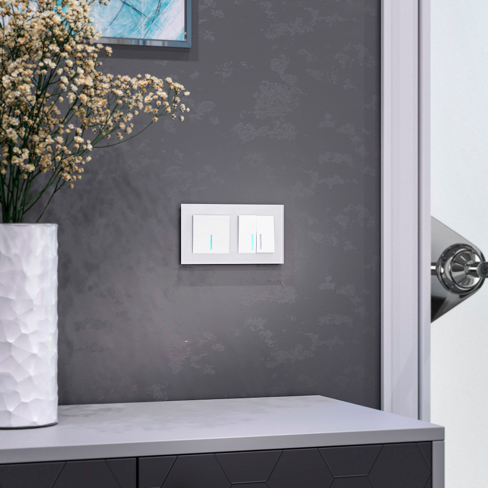 Рамка из стекла на 2 поста Favorit белый матовый W0021105