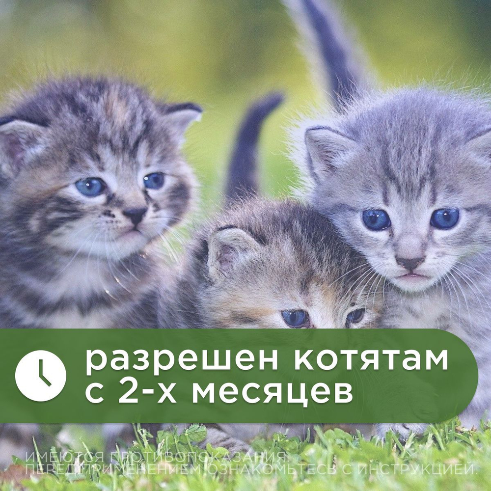 Антигельминтик спот-он АВЗ Диронет для кошек, 3 пипетки