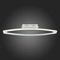 Потолочный светодиодный светильник ST Luce SL920.102.01
