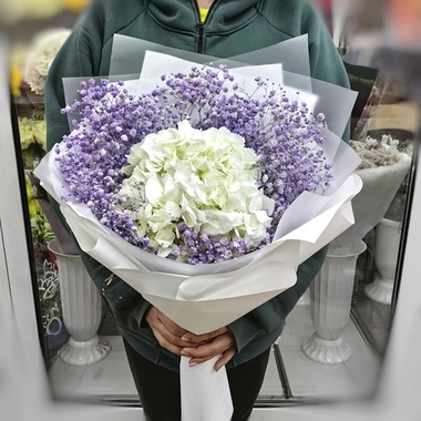 Гортензия с гипсофилой