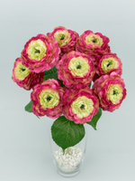 Букет Лютиков ярко-розовый