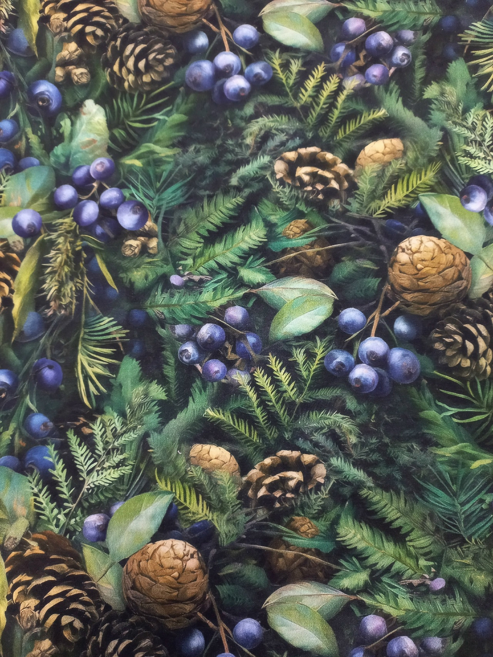 Футер 2х нитка петля Шишки и Голубика