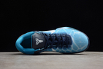 Nike Kobe 7 Shark