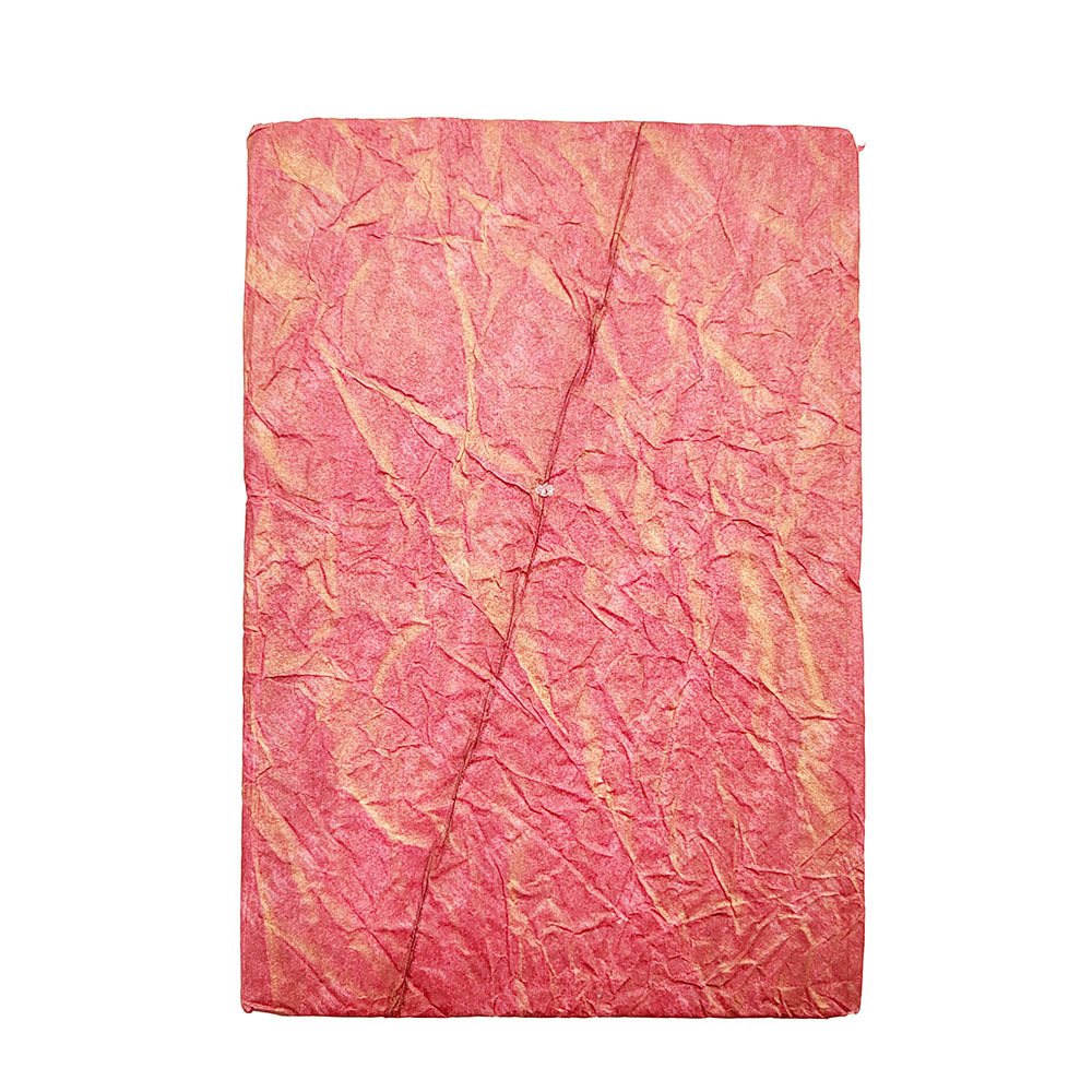 Сунь Ятсен. Записки китайского революционера: (Программа нац. строительства Китая). 1926