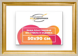 Рама 50x90 для картин и фотографий