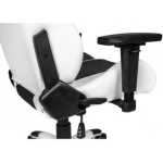 Компьютерное кресло AKRacing Arctica (ARCTICA-WHITE) white/black