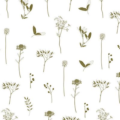 стильные графические цветы и растения на белом фоне