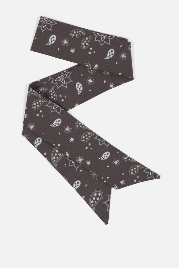 Твилли Paisley