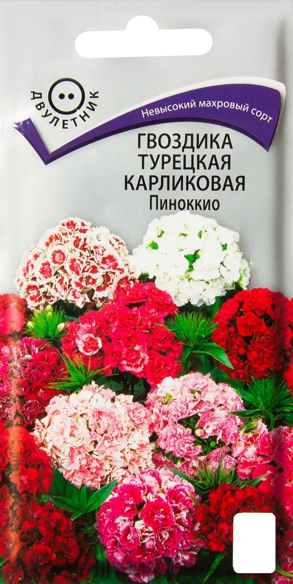 Гвоздика турецкая Карликовая Пиноккио