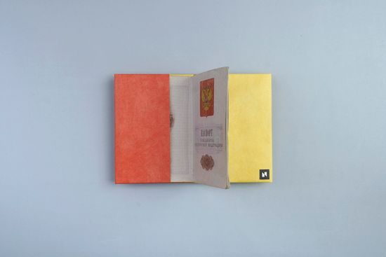 Обложка на паспорт NEW WALLET New A