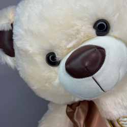 Медведь с бантом