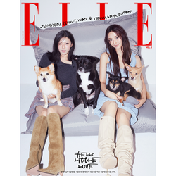 Журнал ELLE - 2025. 11 (Cover. SOOBIN, TZUYU & JEONGYEON, NATTY & BELLE, SEUNGKWAN)