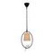 Подвесной светильник Loft IT Birds Loft1029A-1