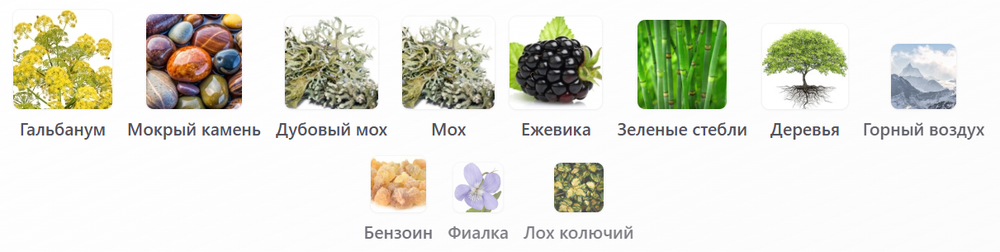 Sorce Witchery 50 мл