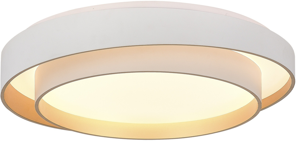 Потолочный светодиодный светильник Evoluce CROSBY SLE6009-502-01