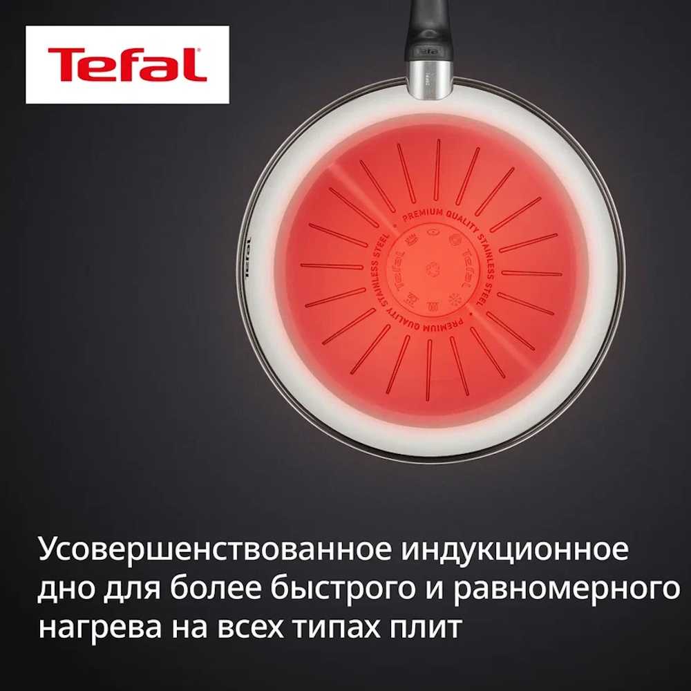 Сковорода Tefal Emotion+ Flavors 20 см E3270244