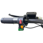 ЭЛЕКТРОСКУТЕР CITYCOCO GT X2 PRO Mini карбон