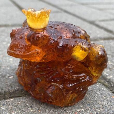 Принцесса жабка