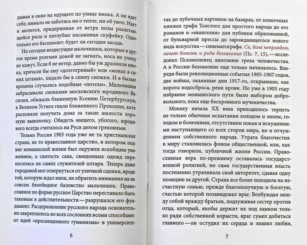 blazhennyj-inok-zhizneopisanie-blazhennogo-inoka-vladimira-vazheozerskogo-chudotvorca-89237-527573