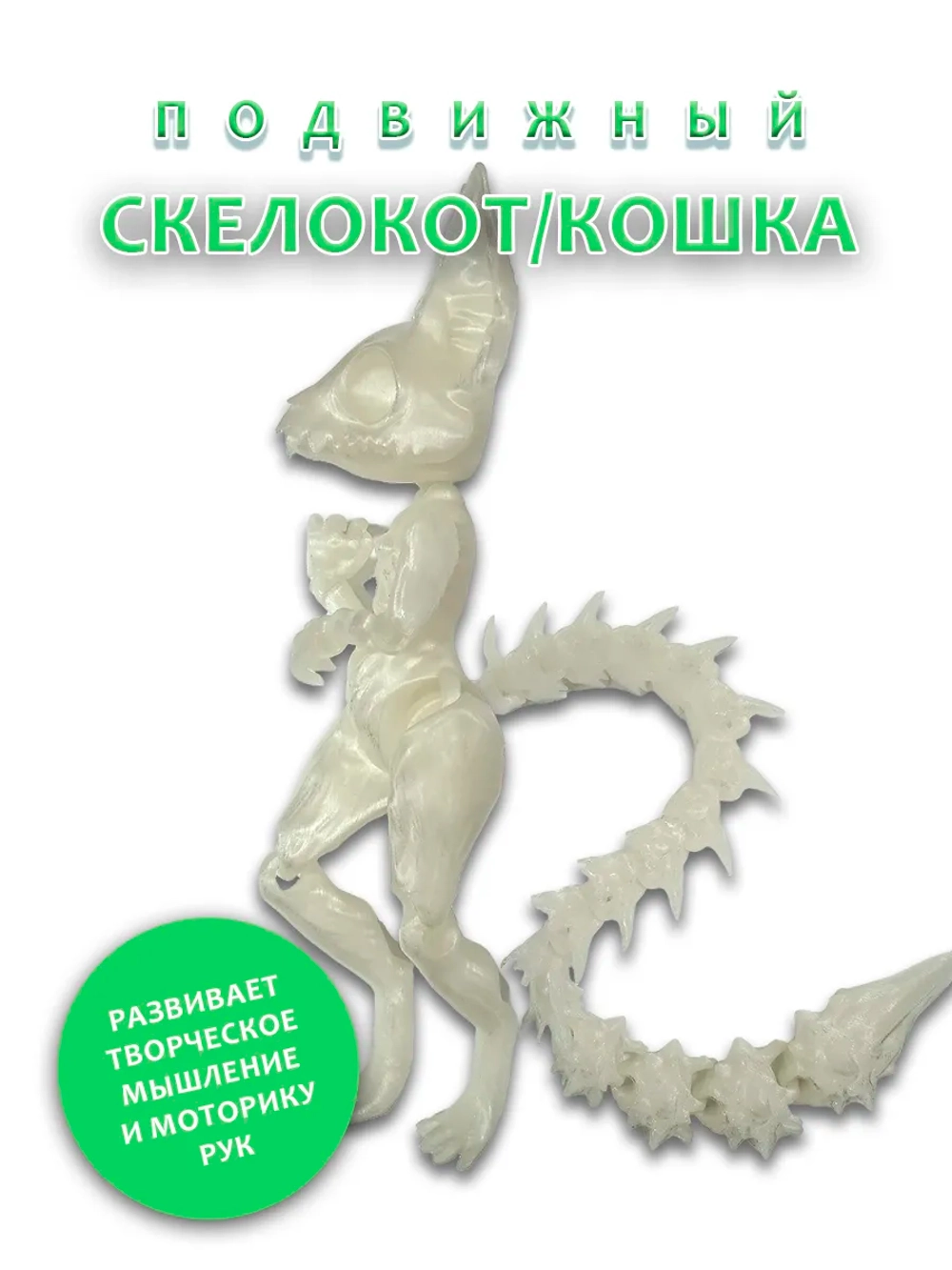 Скелет Кошки