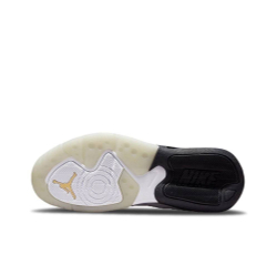 Air Jordan Point Lane "White Lightning"