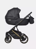 Коляска MONTANA PREMIUM (2 в 1) (RIKO BASIC)